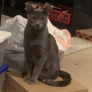 Meet your Posher, Brittney